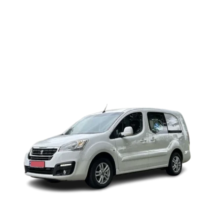 Peugeot MANAGER (II) 250 2006-2017